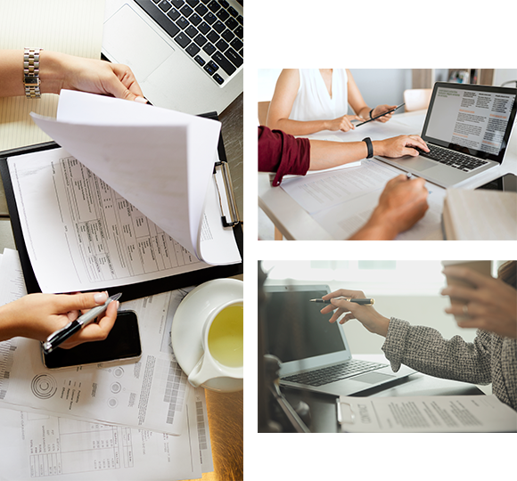 Document Translation Services
